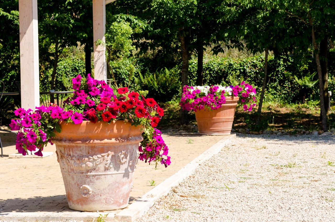Casa Cerqua Landi - Casa Vacanze X3 Itri Buitenkant foto